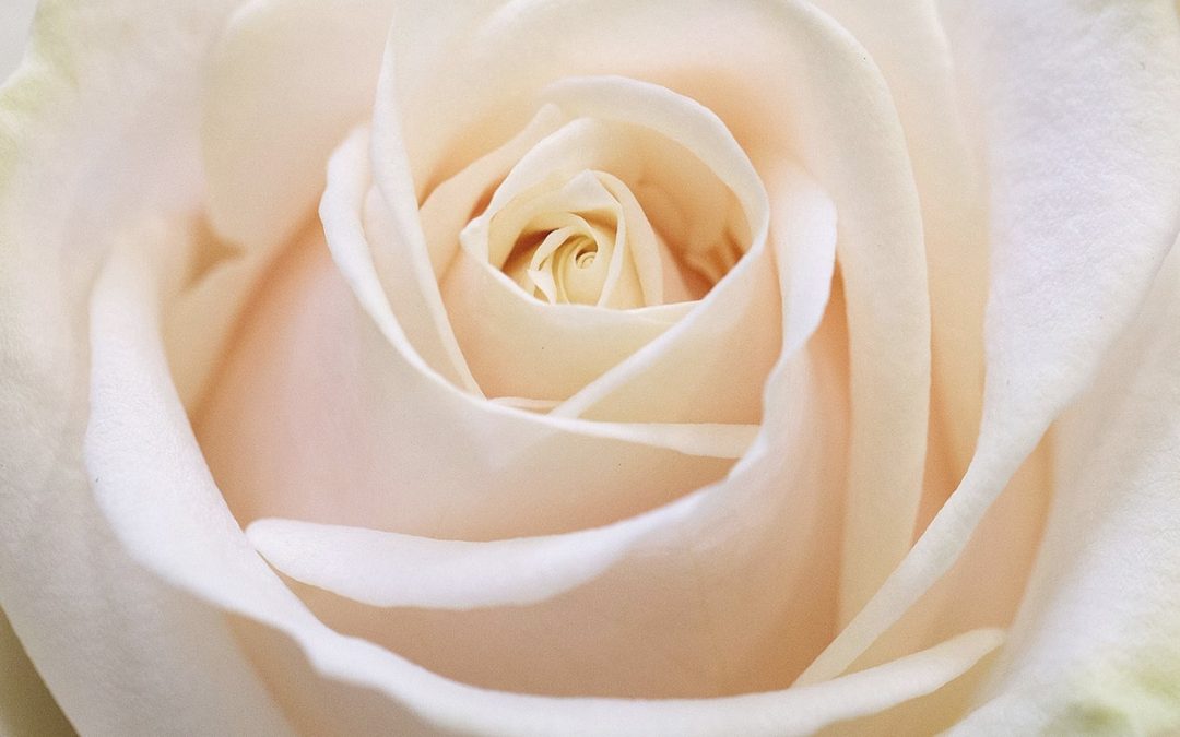 En wat is daarop uw antwoord?