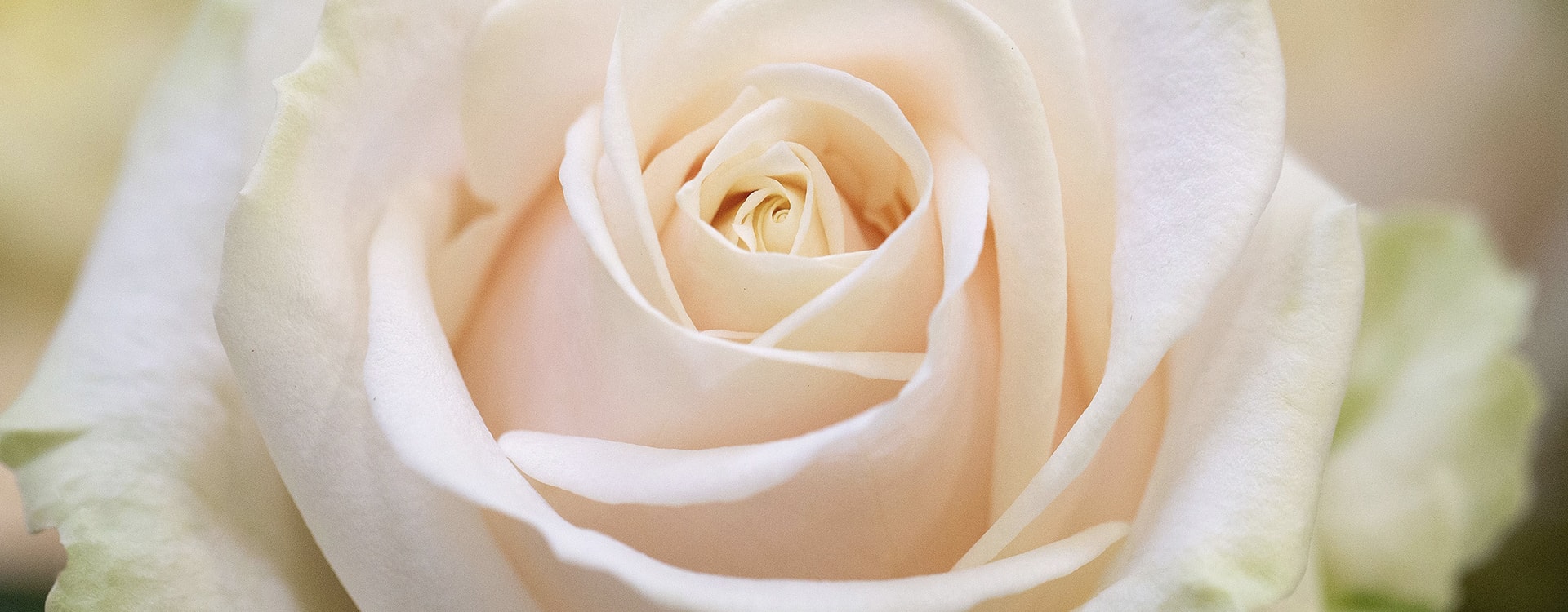 En wat is daarop uw antwoord?