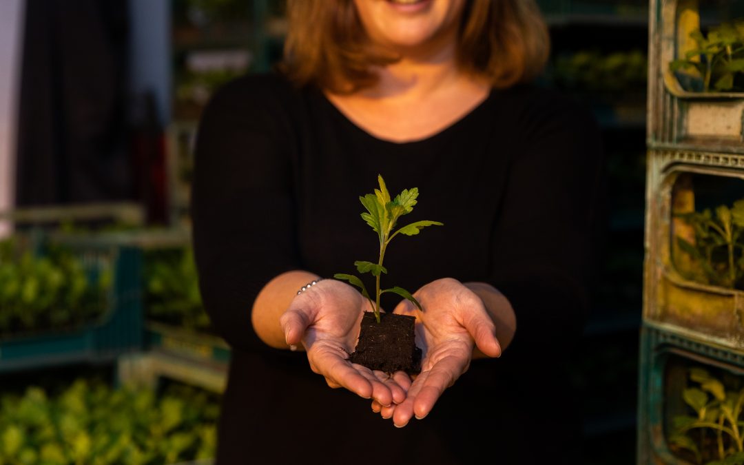 Financiering van de toekomst