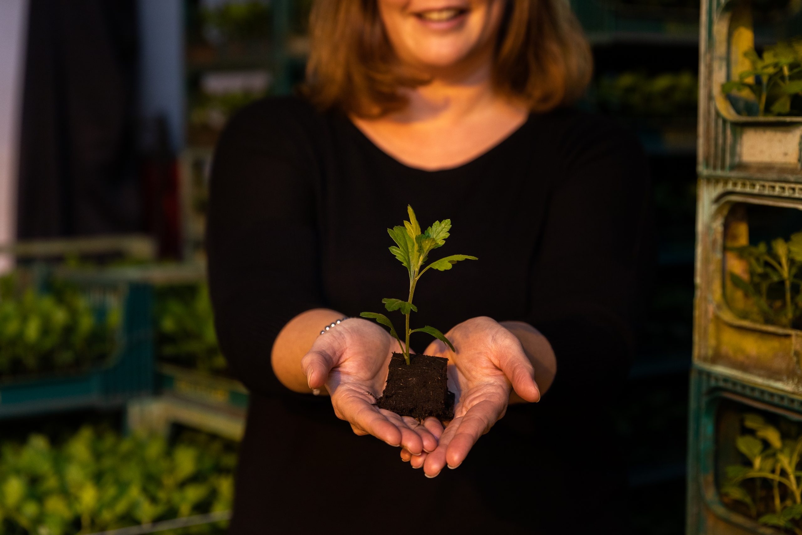 Financiering van de toekomst